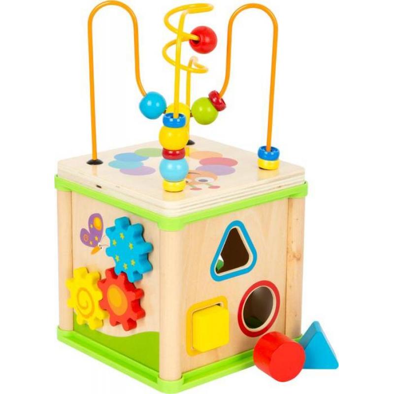 CUBE DE MOTRICITE INSECTES SM10074