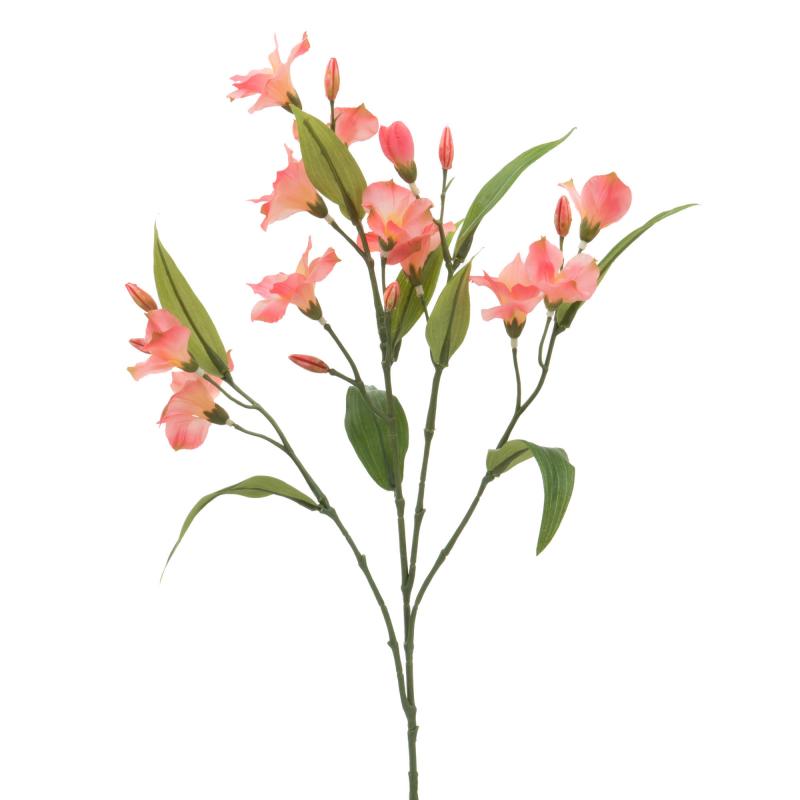 ALSTROEMERIA H63