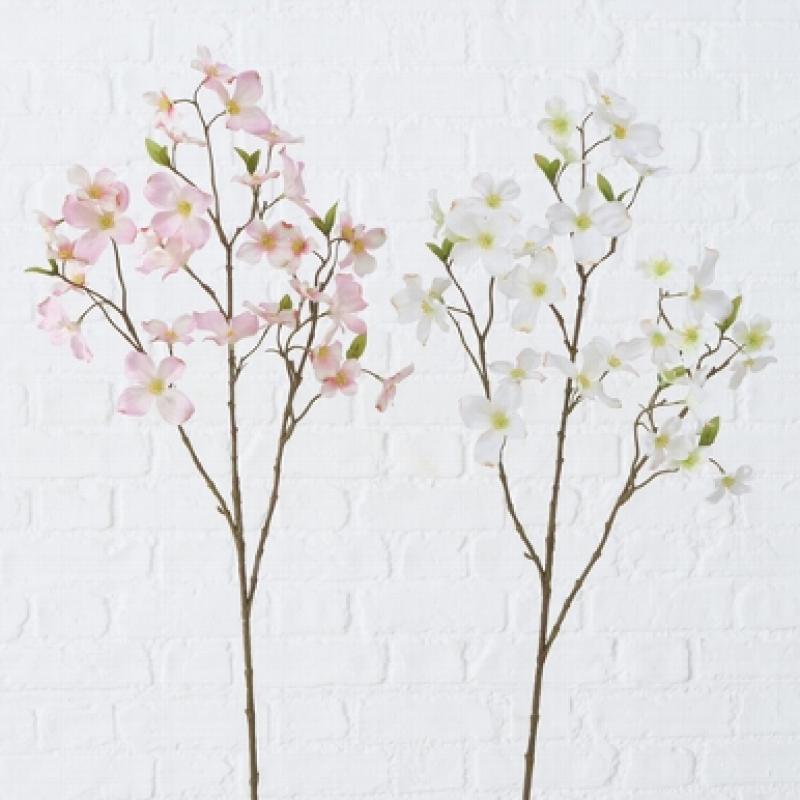 Branche DOGWOOD ref BO2009074