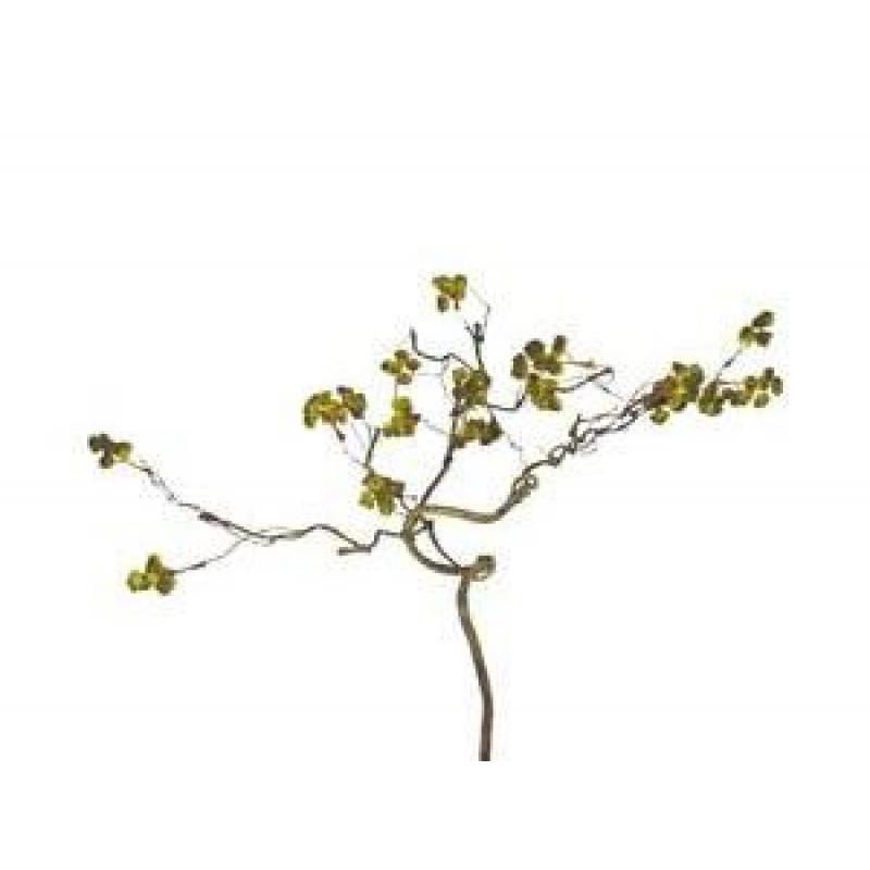 BRANCHE 81 cm QUEEN ANN LACE SWAG vert LI841230