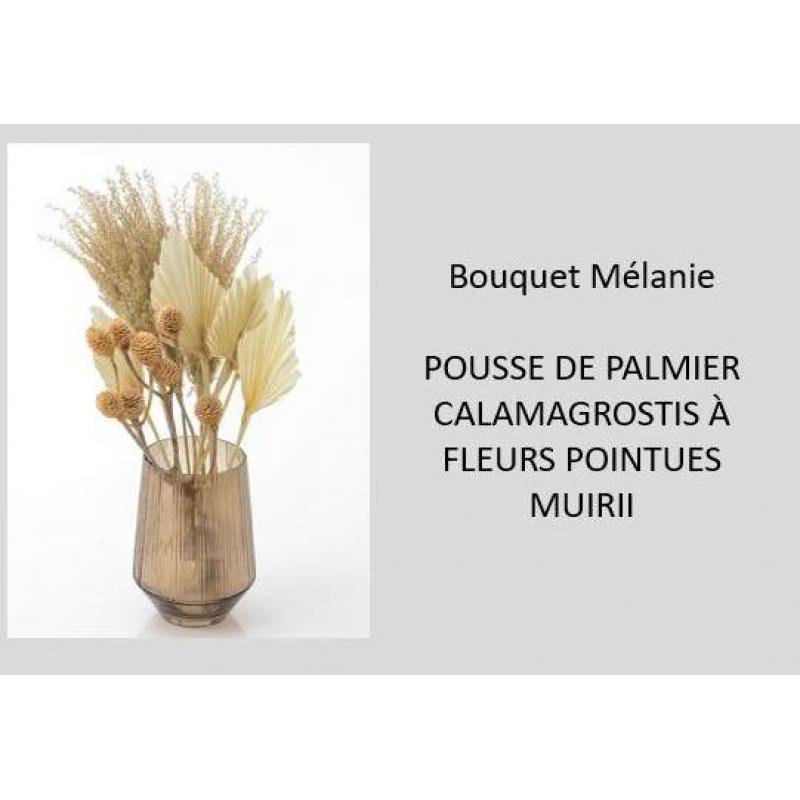 Bouquet  Mélanie