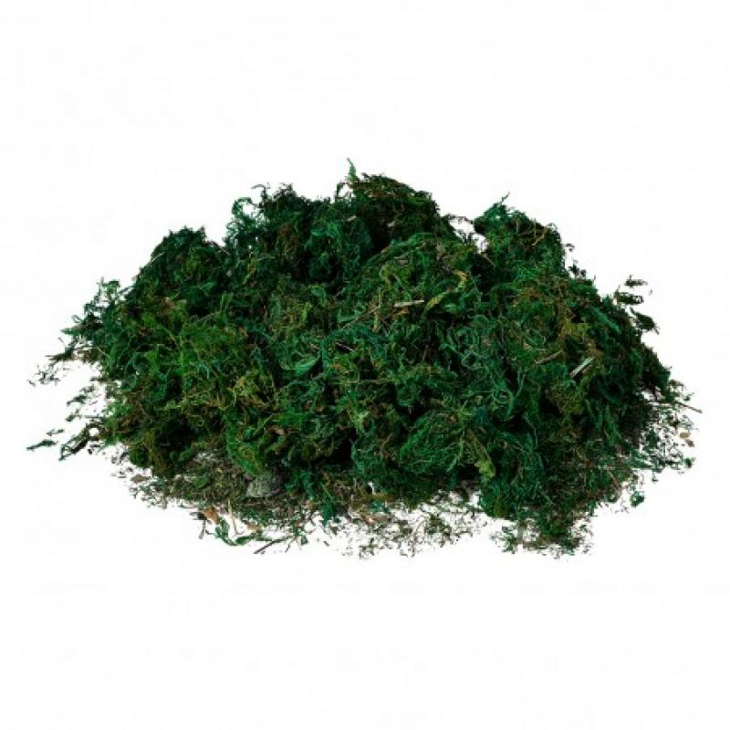 MOUSSE DECORATIVE CE66109