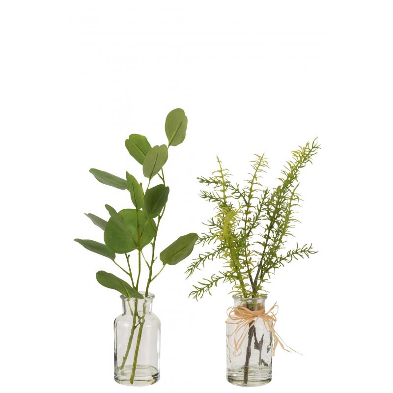 Pot en verre eucalyptus  ou branche