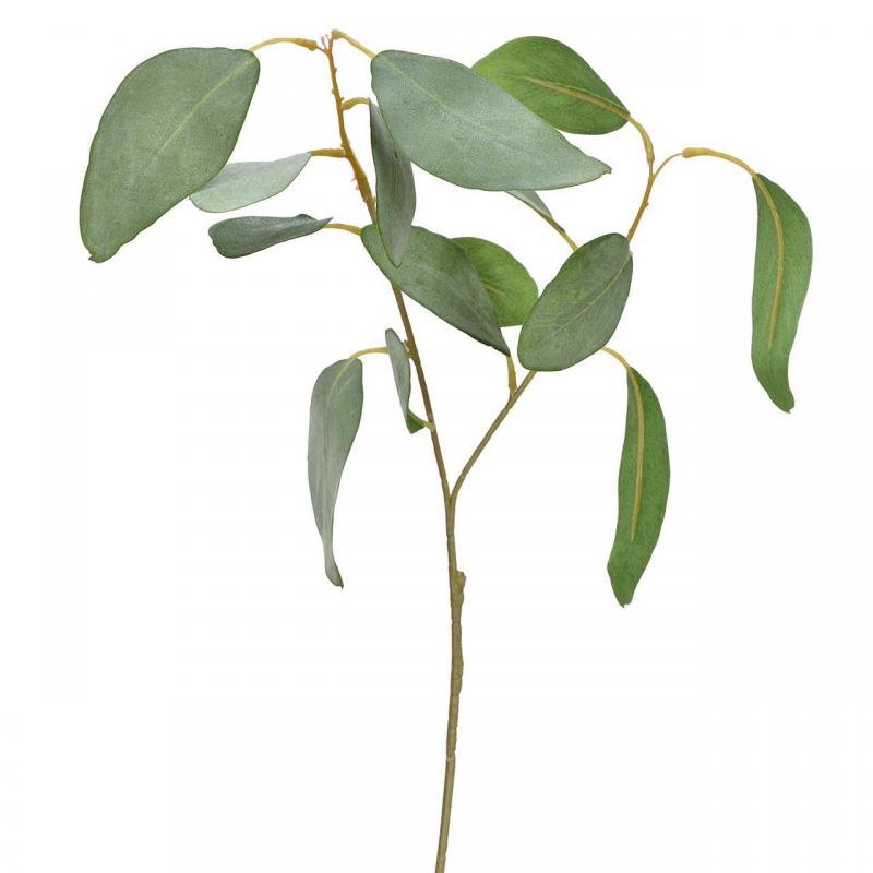 EUCALYPTUS VERT  46CM W49272