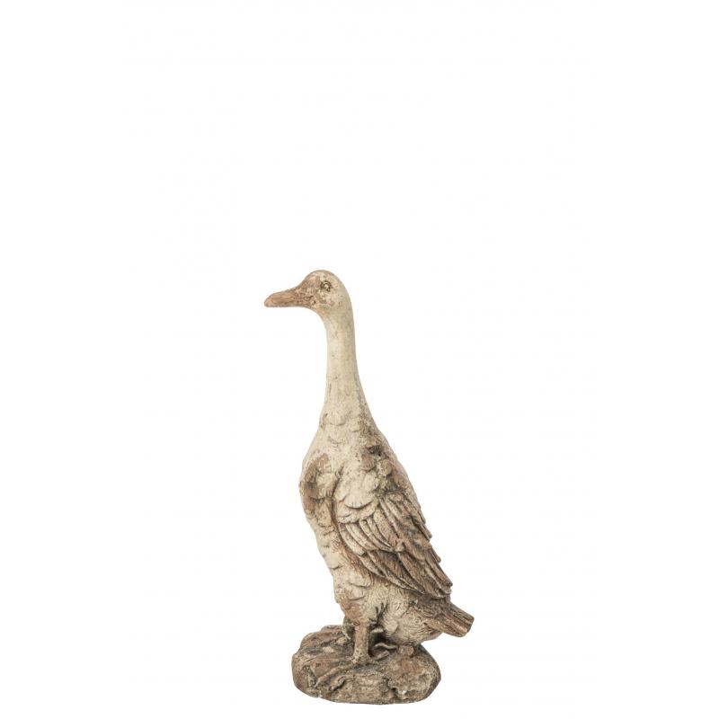 OIE 55CM  JO265216