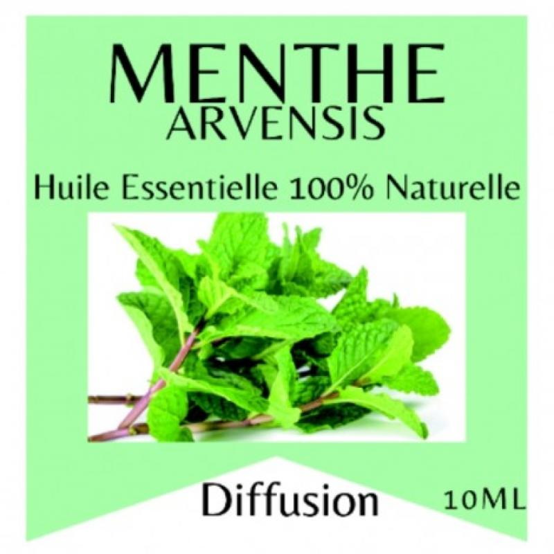 HUILE ESSENTIELLE 10ML 7 MODELES