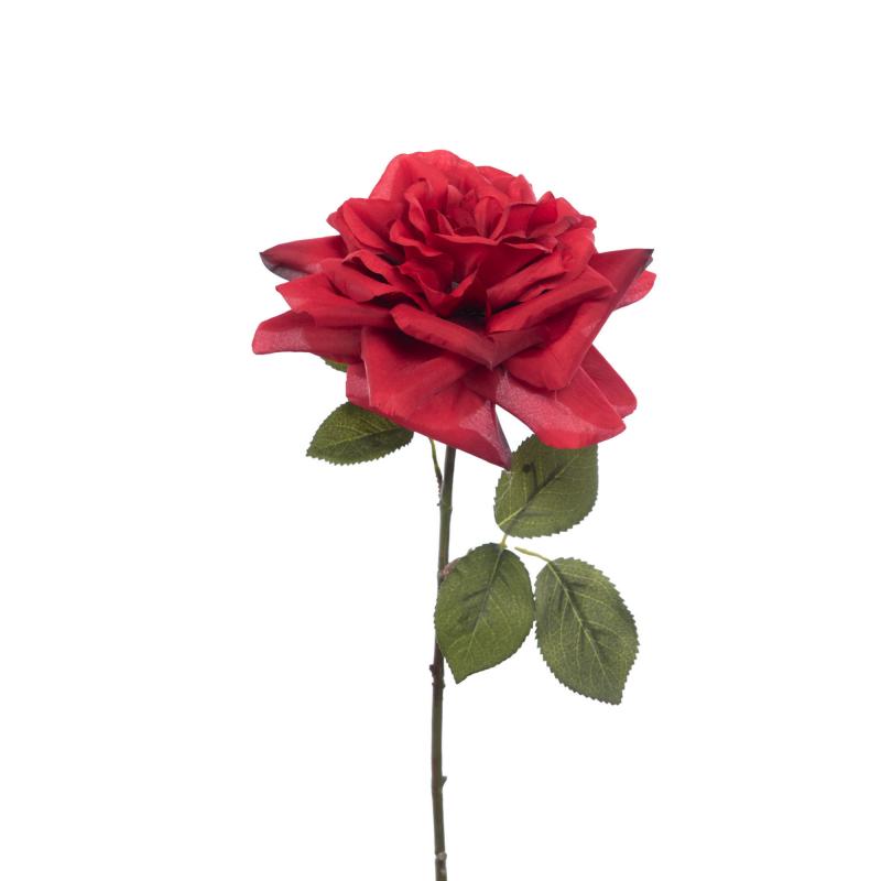 ROSE ROUGE H65CM CA169106
