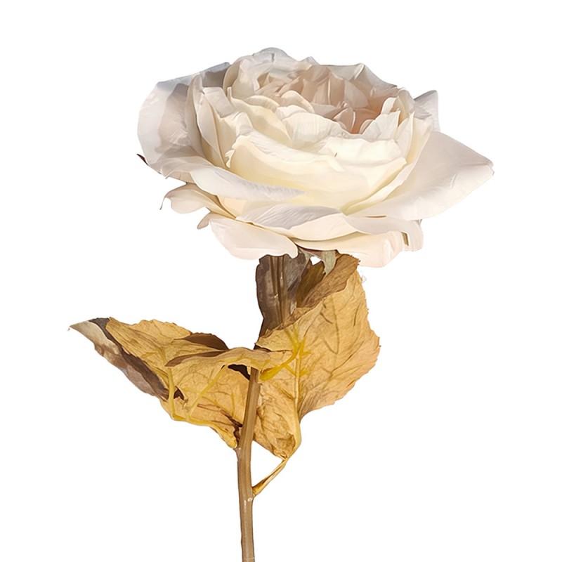ROSE VINTAGE CREME CE0374W