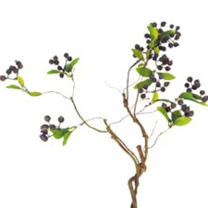 BRANCHE  66 cm BERRY violet LI841224