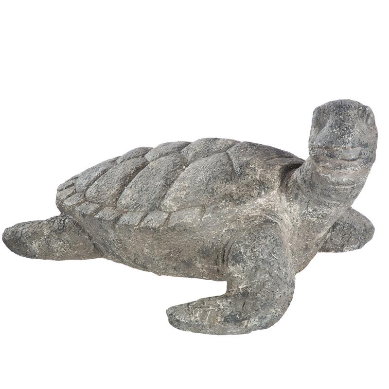 TORTUE LENTILLE  GI63451
